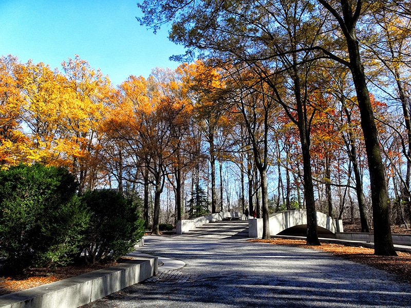 Fall colors in the city park